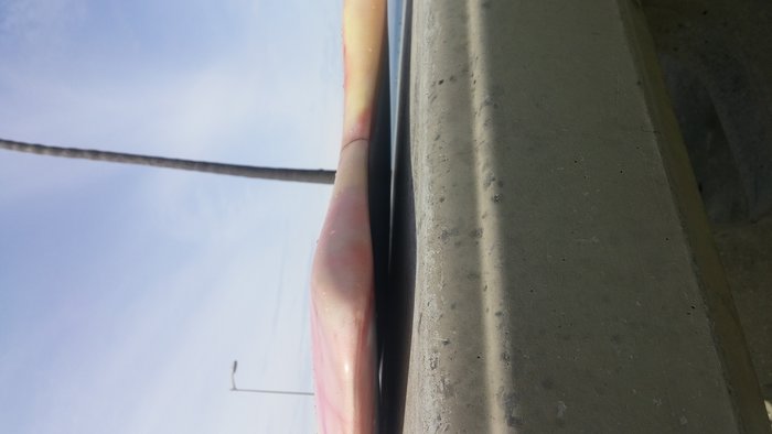 tail.jpg