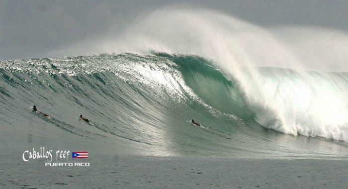 caballos-reef-puerto-rico[1].jpg