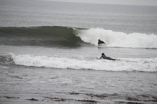 George really discovered something with his paddle fin