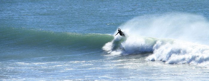 Gaviota Coast w_ Walter, Feb, 2015 0015.jpg