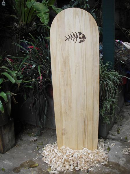 IMGP2630 (Medium).JPG