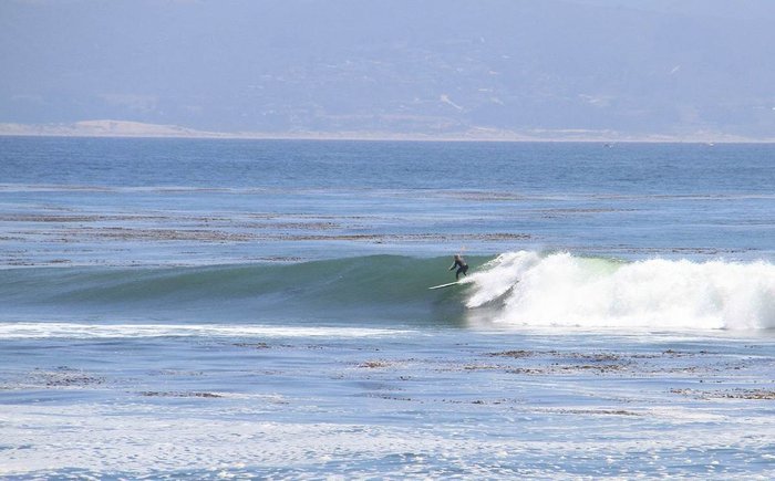 Gophersnake Reef.jpg