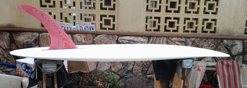 pumpkin seed fin 1.jpg