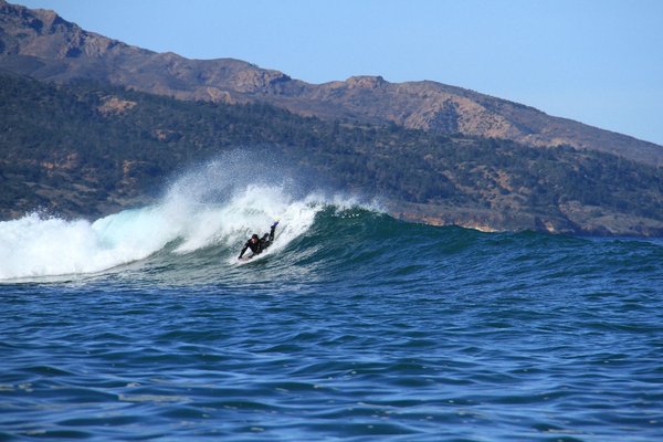 Dead Trees, Dec, 2012 0069.jpg
