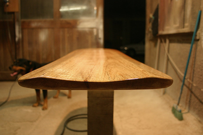 alaia.jpg