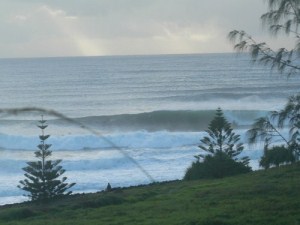 P1100873 (500 x 375) (300 x 225).jpg